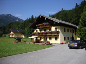Pferdehof Almgut Faistenau